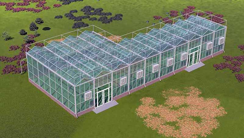 Fengzhiyuan Greenhouse