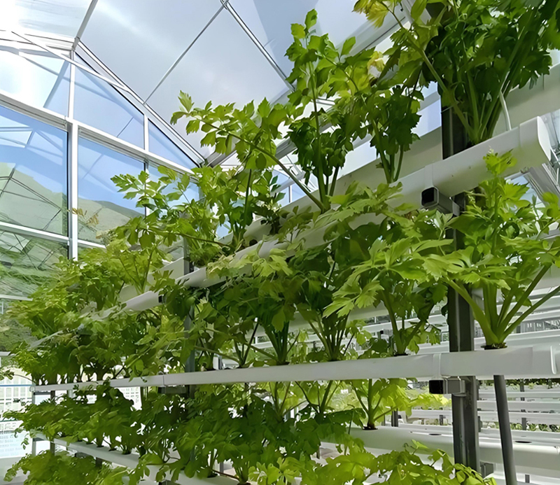 Planting greenhouse