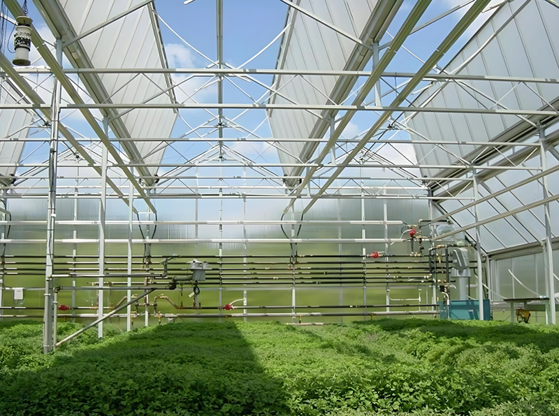 Sunshine greenhouse