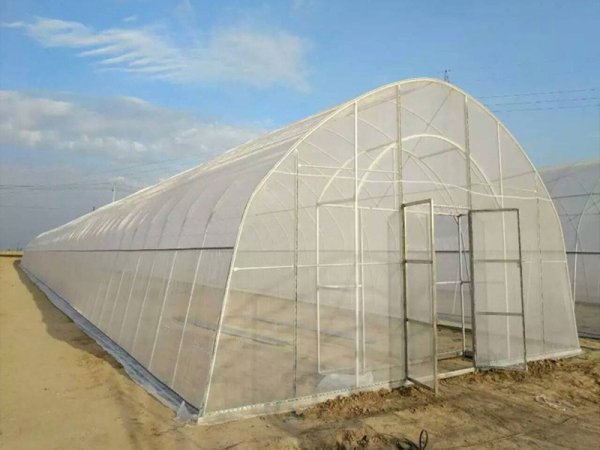 Breeding greenhouse