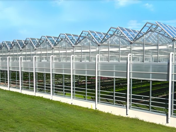 Restaurant greenhouse