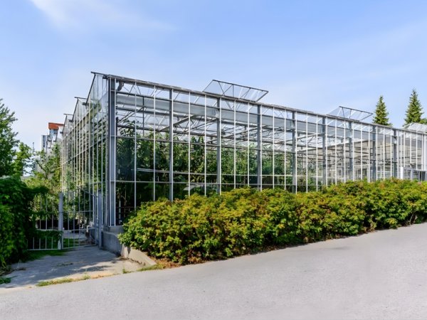 Polycarbonate greenhouse