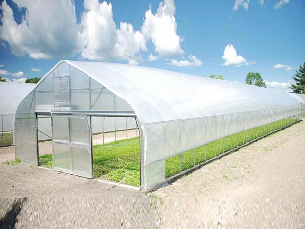 Vegetable planting greenhouse