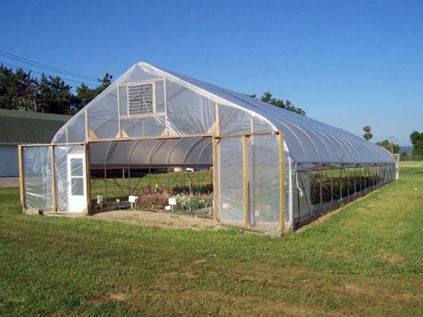 Flower greenhouse