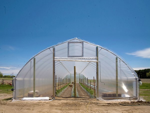 Single span greenhouse