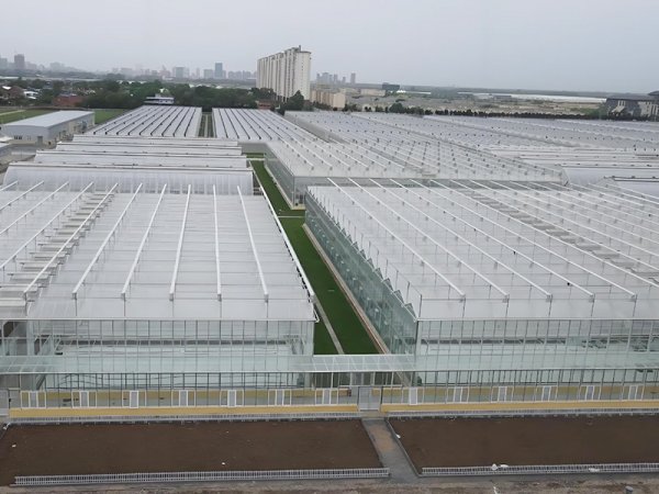 Planting greenhouse