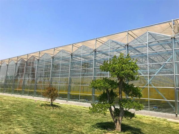 Strawberry glass greenhouse