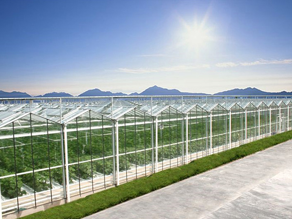 Glass greenhouse